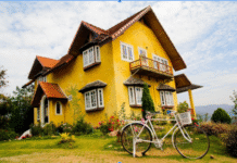 When to Hire a Landscaper for Your Home?